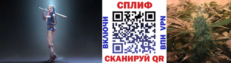 Купить наркотики цена Пустошка Галлюциногенные грибы  ГАШИШ  Бошки Шишки  A-PVP 