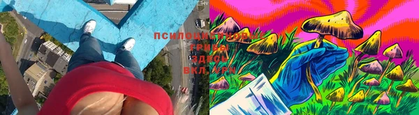 дживик Алексеевка
