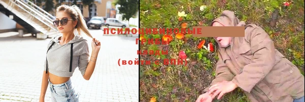 дживик Алексеевка