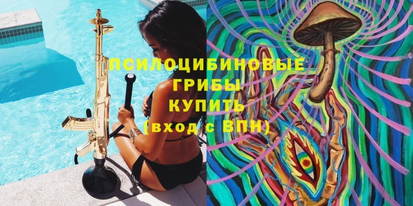 дживик Алексеевка